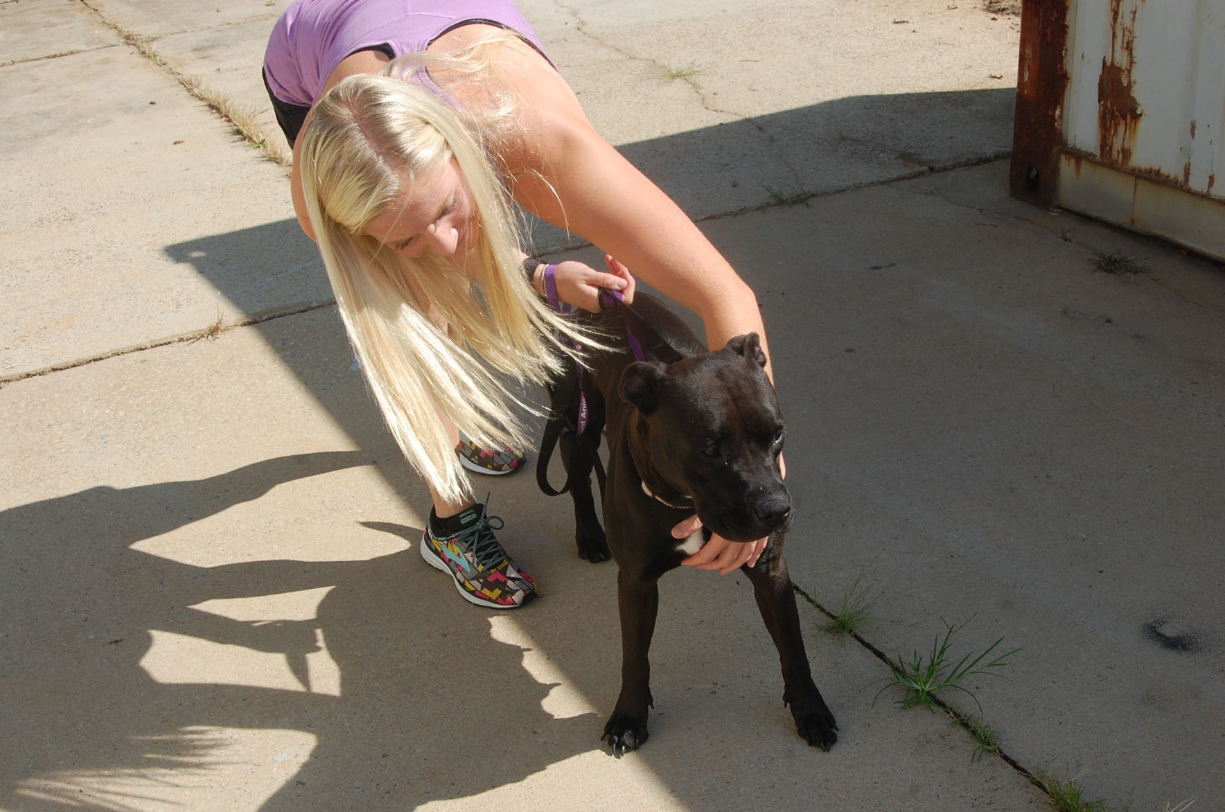 Piedmont animal rescue (22).JPG